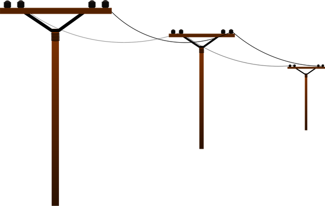 Scaling Business Network Cabling for Future Growth