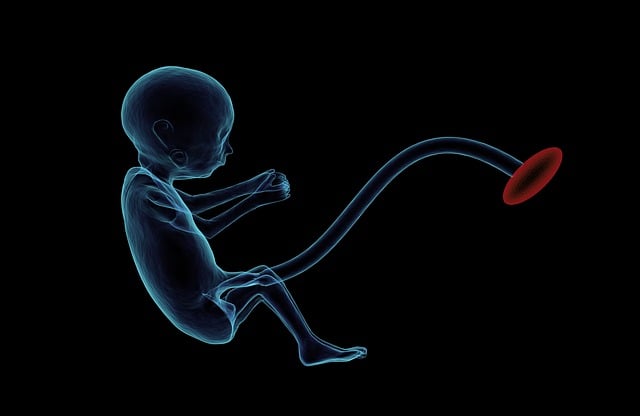Understanding Allergic Reactions to Non-Invasive Ultrasound Contrast Agents
