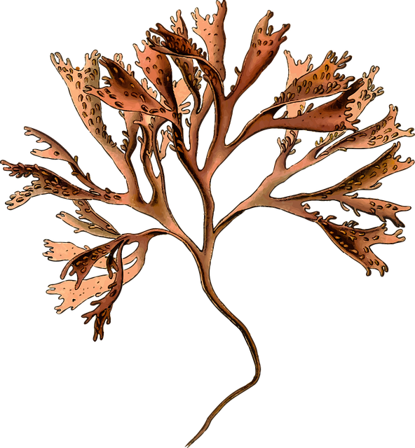 orthopedic-regenerative-medicine-640x480-72060455.png