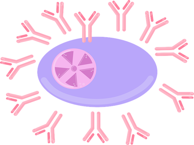 Regenerating Cartilage: Stem Cells for Rotator Cuff Healing and Pain Relief
