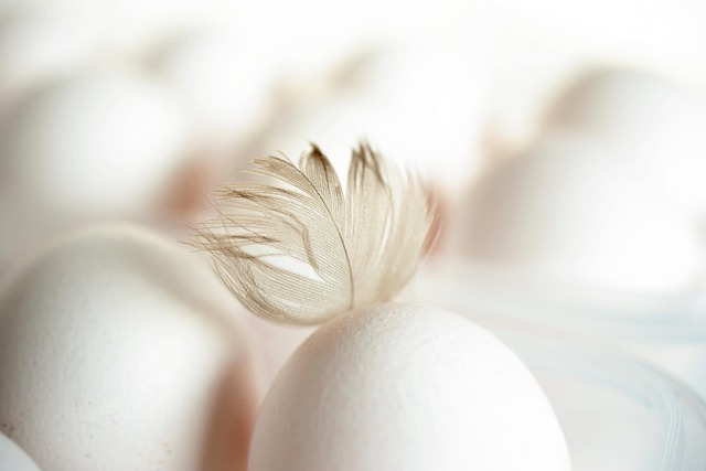 Embracing Family: Emotional Support for Women with Poor Ovarian Response Using Donor Eggs