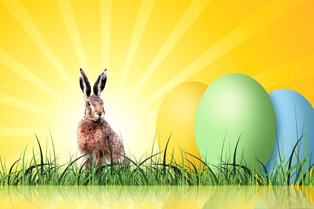 overcoming-low-egg-quality-with-donor-eg-640x480-79900345.jpeg
