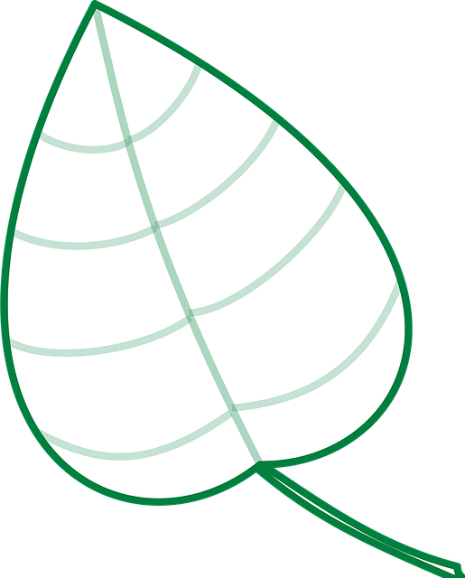 pain-relief-through-stem-cells-640x480-71588325.png
