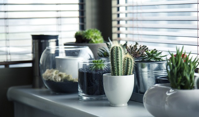 personalized-indoor-garden-640x480-73043528.jpeg