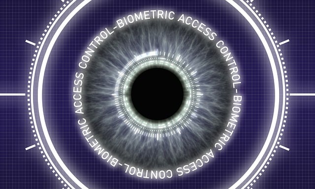 pet-scan-contrast-media-640x480-85380363.jpeg