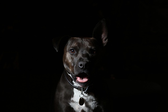 pet-scan-contrast-media-640x480-87811788.jpeg