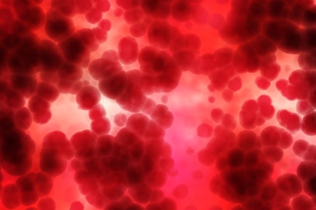 platelet-rich-plasma-for-sports-injuries-640x480-53380367.jpeg