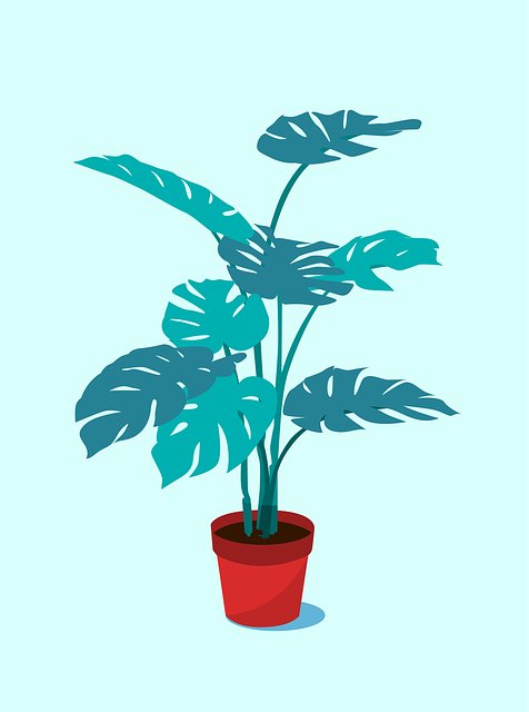 professional-indoor-plant-care-640x480-13792562.png