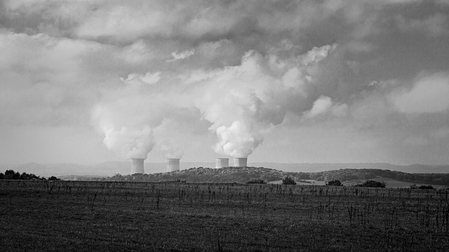 Radioactive Contrast: Nuclear Medicine’s Unique Advantage