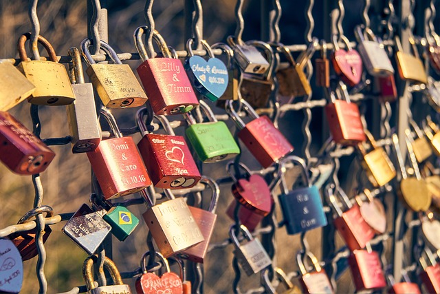 Biometric Locks: Uncrackable Defense Against Hackers