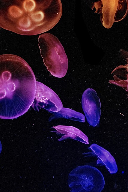 restaurant-custom-aquariums-640x480-25622962.jpeg
