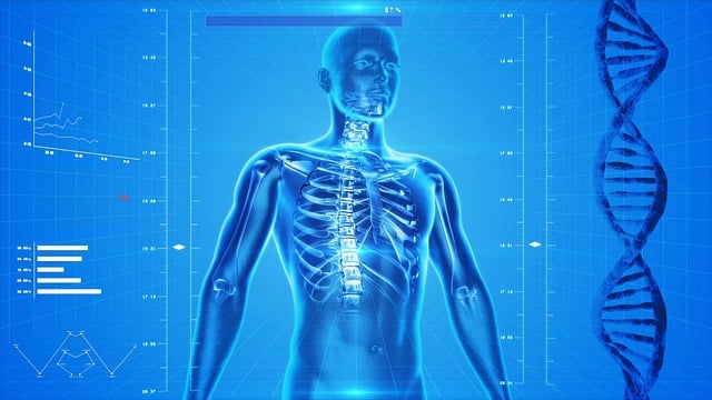 safety-of-contrast-for-x-ray-640x480-97936480.jpeg