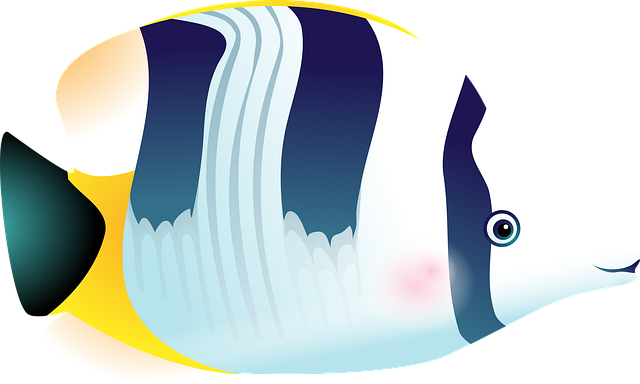seamless-acrylic-aquariums-640x480-77687118.png