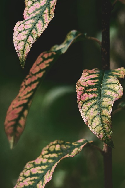Rotate Plants All Year: Fresh Interiors, Simplified Care