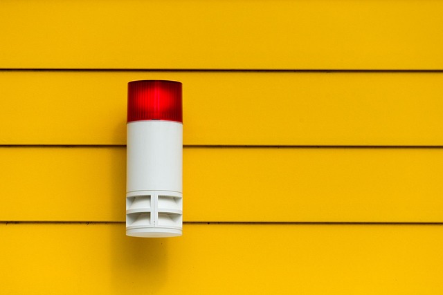Cloud Access Management: Scaling Solutions for Every Business