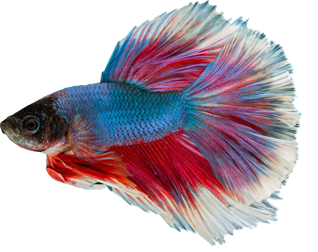 Unveiling Mythical Underwater Worlds in Themed Aquariums