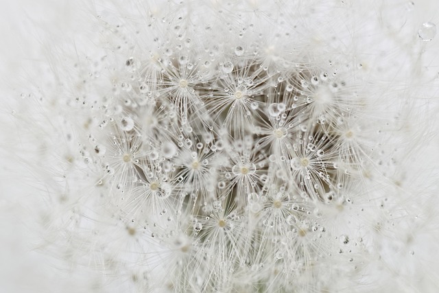 spring-plant-refresh-640x480-31414009.jpeg