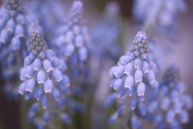spring-plant-refresh-640x480-50304891.jpeg