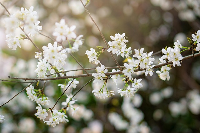 spring-plant-refresh-640x480-58857610.jpeg
