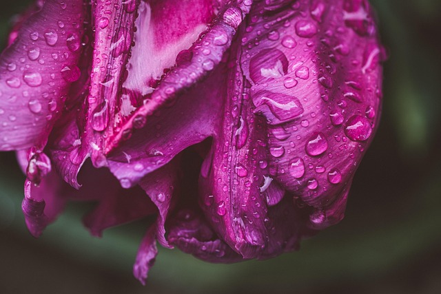 spring-plant-refresh-640x480-92707287.jpeg