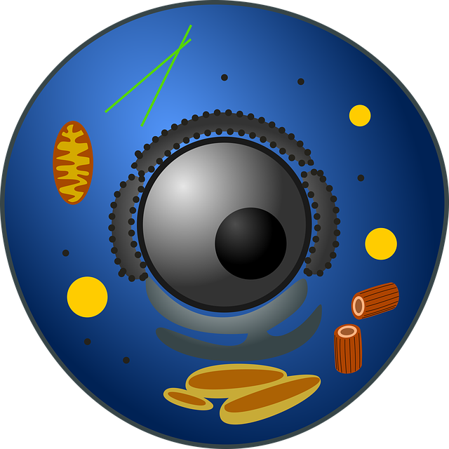 stem-cell-injections-for-arthritis-640x480-37103231.png