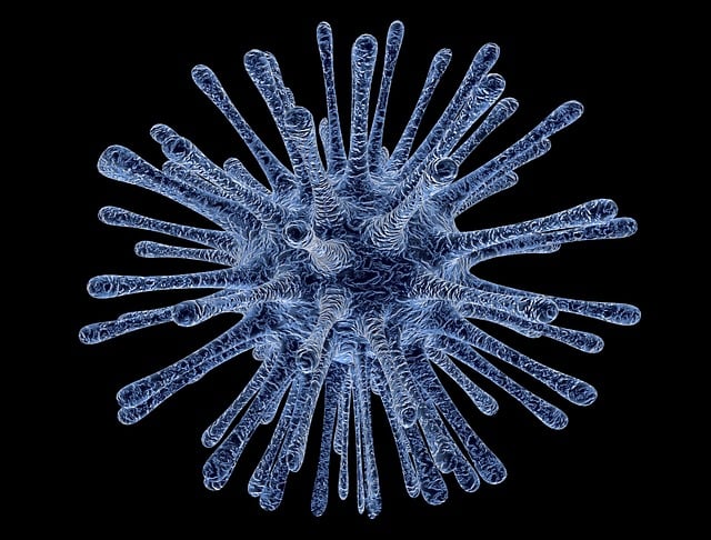 stem-cell-therapy-for-arthritis-640x480-20972080.jpeg