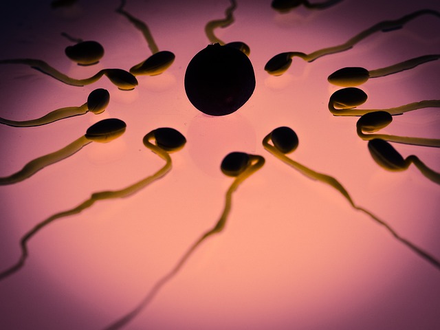stem-cell-therapy-for-pain-640x480-95640989.jpeg