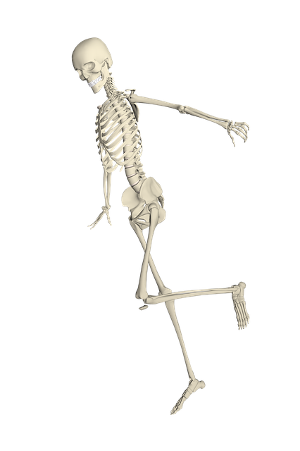 stem-cells-for-bone-healing-640x480-91683509.png