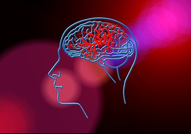 Navigating Brain PET Scans: Safely Minimizing Radiation Exposure