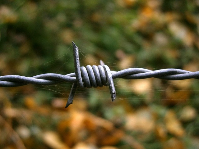 structured-wiring-installation-640x480-22807063.jpeg