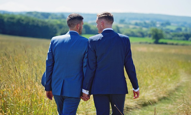 surrogacy-agencies-for-same-sex-couples-640x480-36851455.jpeg