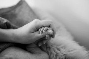 surrogacy-laws-for-foreign-parents-640x480-71757206.jpeg