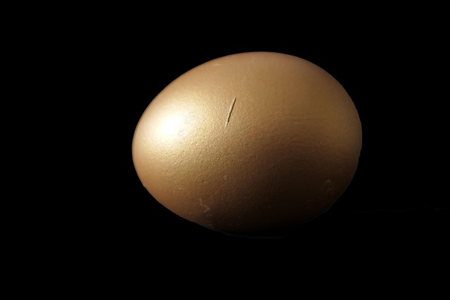 surrogacy-with-egg-donation-for-gay-pare-640x480-82629176.jpeg