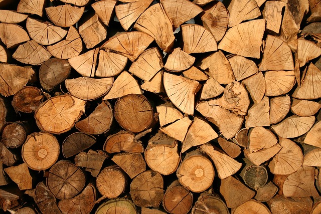 Mastering Clash Detection: Framing, CAD, and Coordinated Design