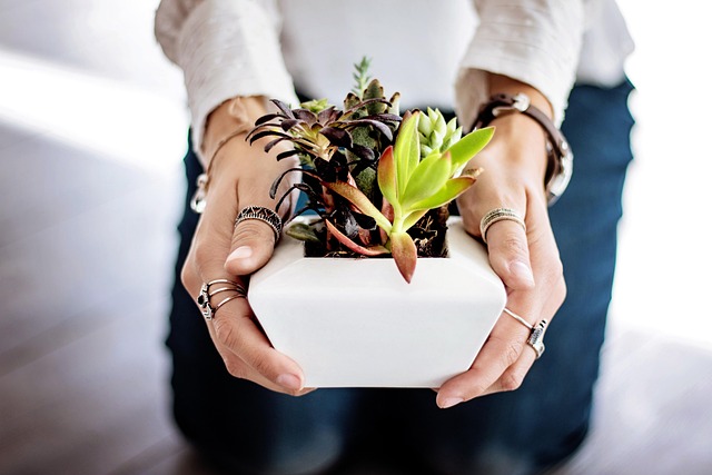 tropical-home-plant-styling-640x480-76280570.jpeg