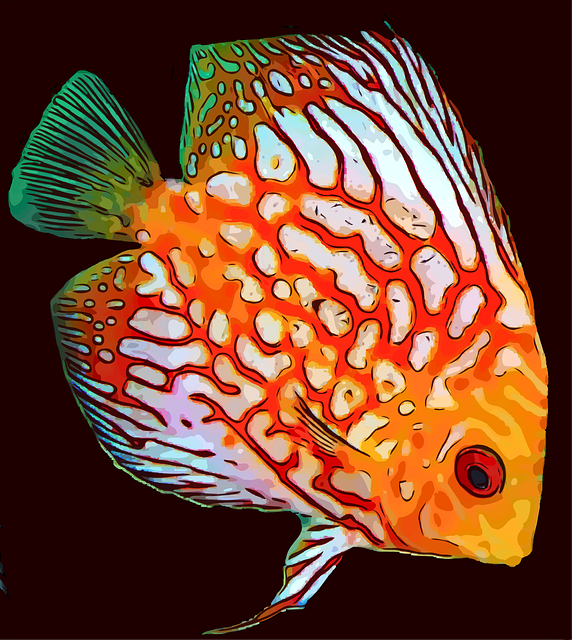 unique-aquarium-designs-640x480-95603420.png