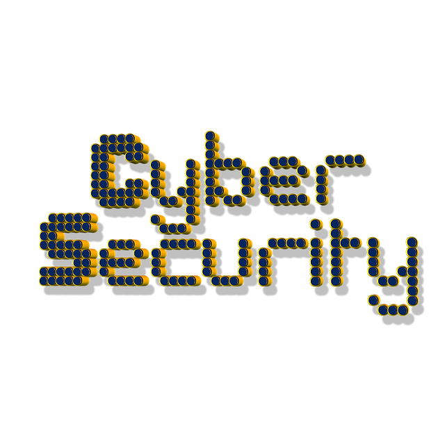 vip-travel-security-640x480-15992839.png