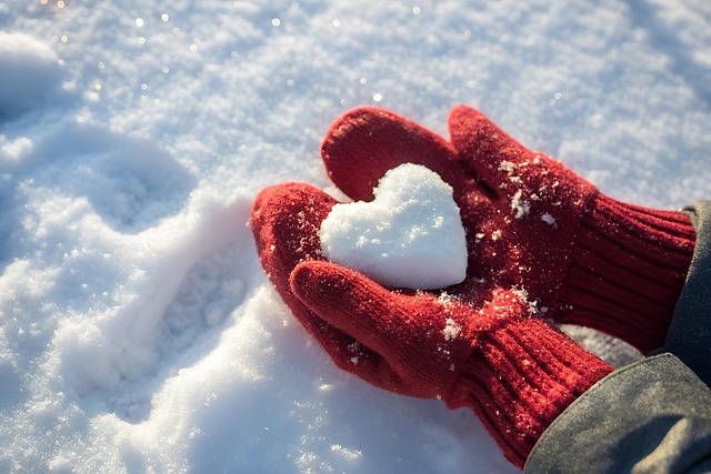 winter-plant-protection-640x480-49808497.jpeg