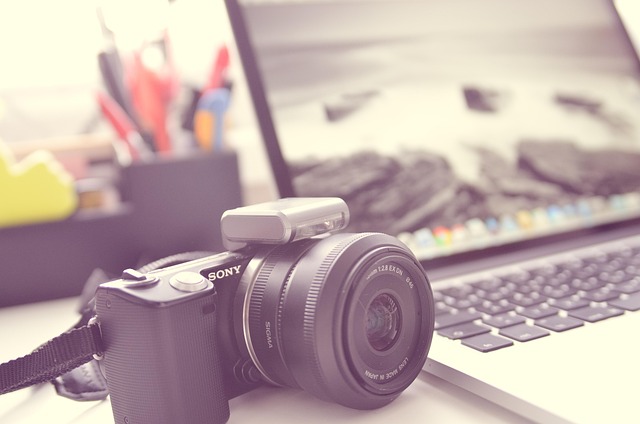 PTZ Cameras: IP Security Solutions for Dynamic Surveillance