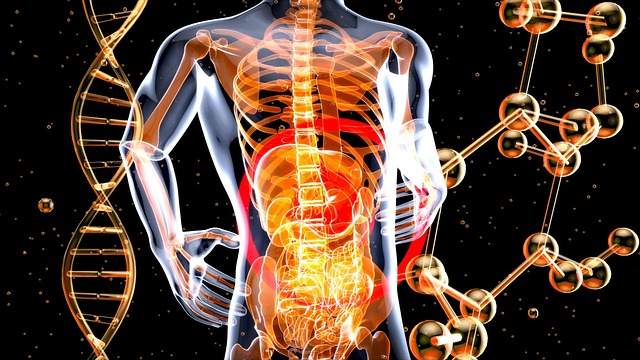 x-ray-contrast-dye-640x480-83334951.jpeg