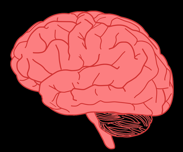 brain-mri-640x480-31536408.png