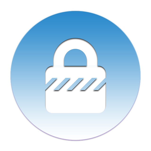 Enhance Safety: Expert Security Audit Services for Comprehensive Protection