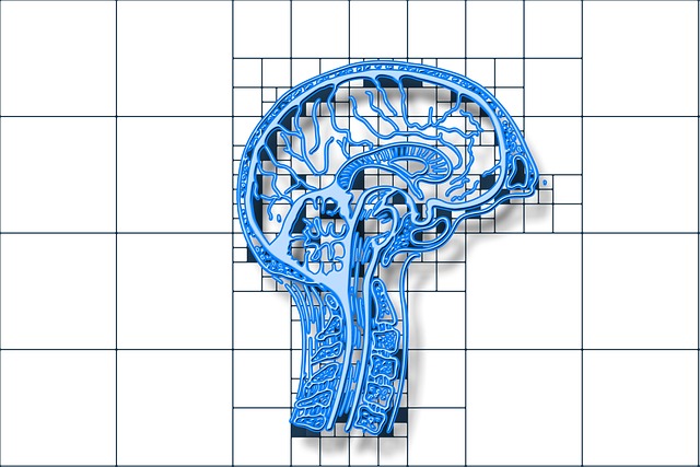 cerebral-angiography-640x480-56724429.jpeg