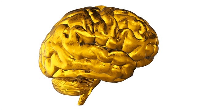 Brain Imaging: Ultrasound to PET Scans for Accurate Diagnosis