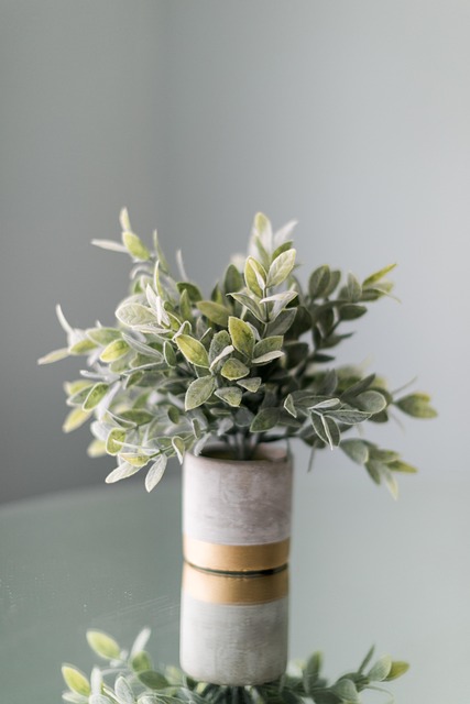 Elevate Spaces with Professional Indoor Landscaping Services