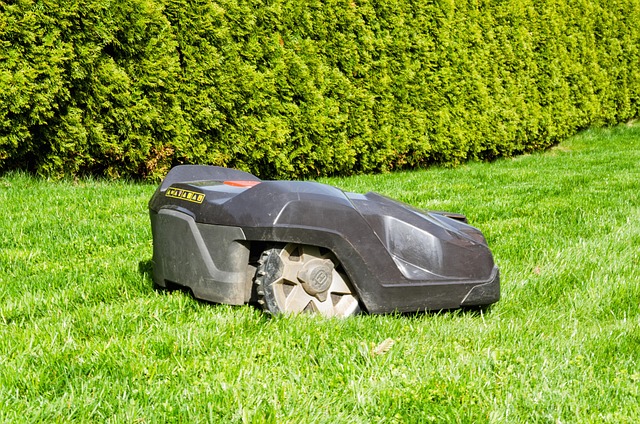 commercial-plant-maintenance-640x480-5549710.jpeg
