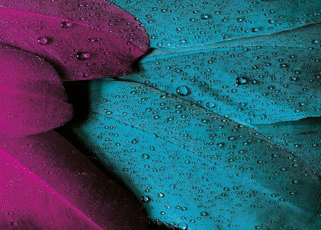 Understanding Allergic Reactions to MRI Contrast Media
