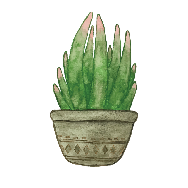 corporate-plant-decor-640x480-56508605.png