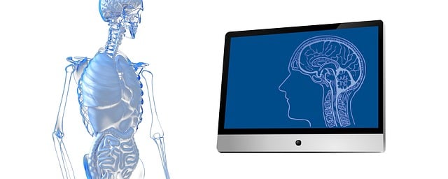 Brain Imaging Unlocks MS Secrets: Diagnosis & Progression Tracking