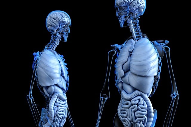ct-scan-for-brain-640x480-87013089.jpeg
